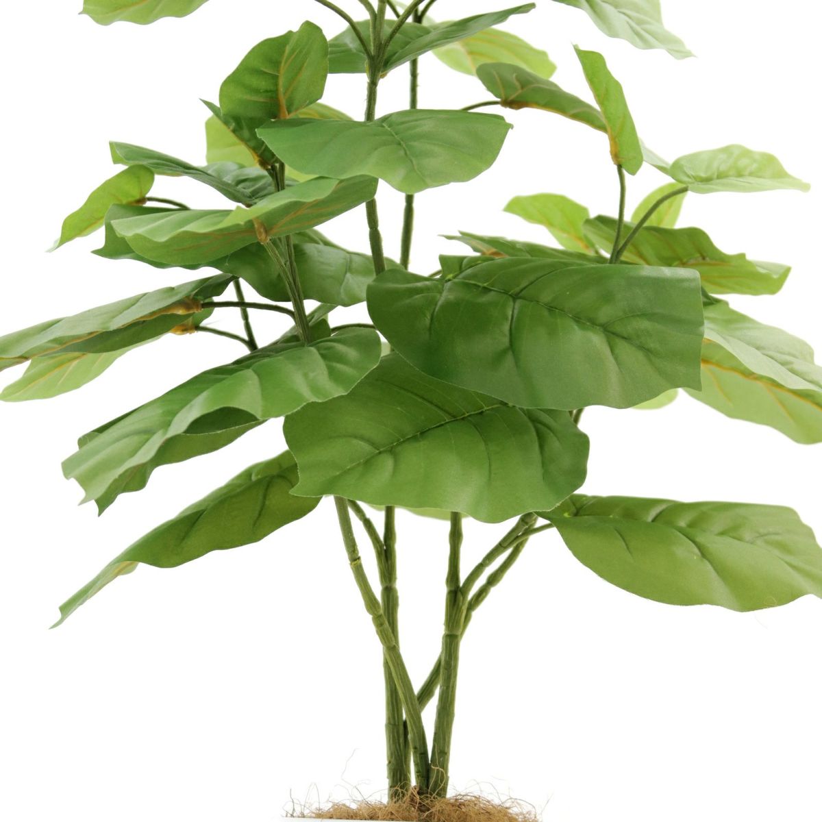 フェイクグリーン ウンベラータ 2本立