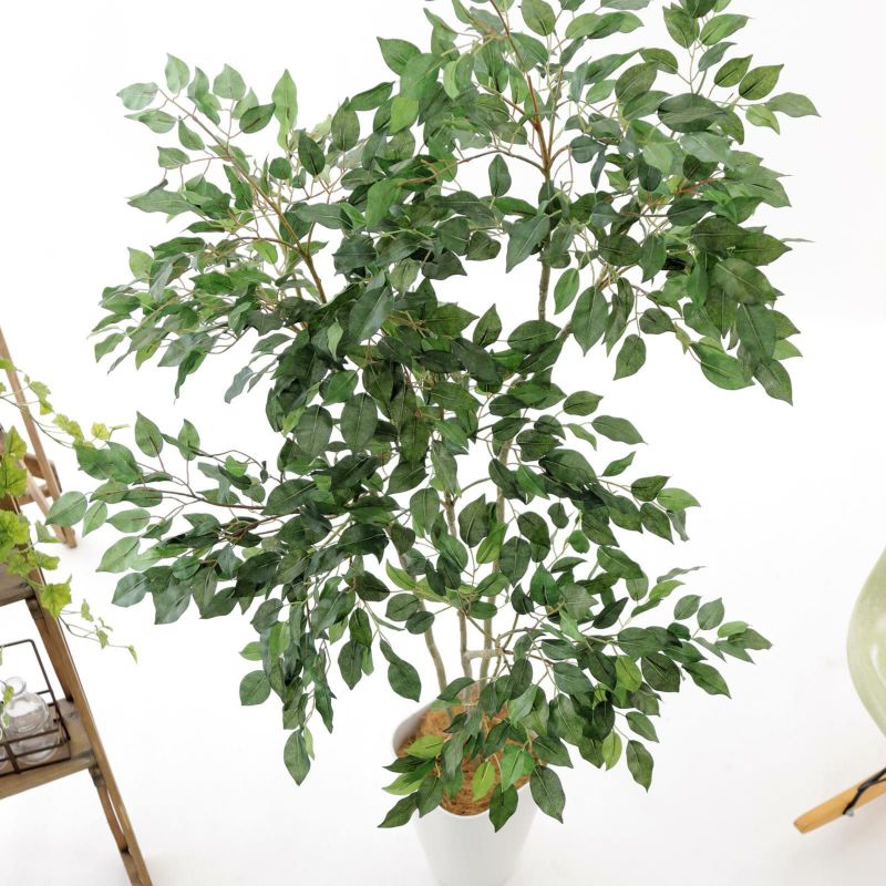 人工観葉植物 ベンジャミンフィカス 150cm 高さ150cm （P213-sk1025