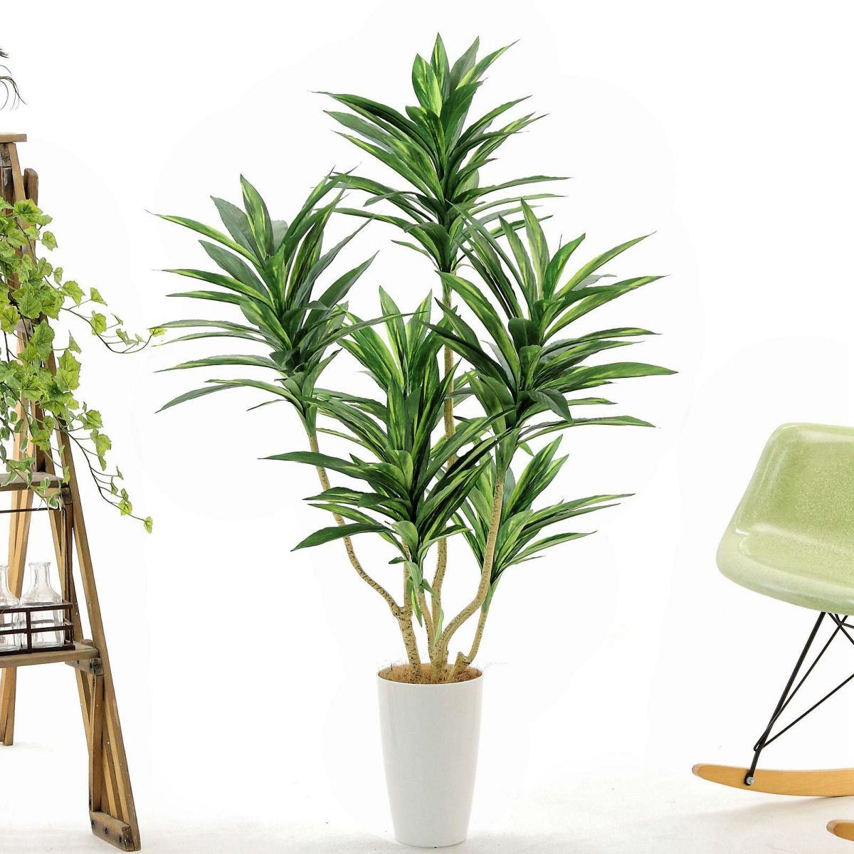 白丸ポット CHIC7丸＋ヤシの繊維（+1000円）