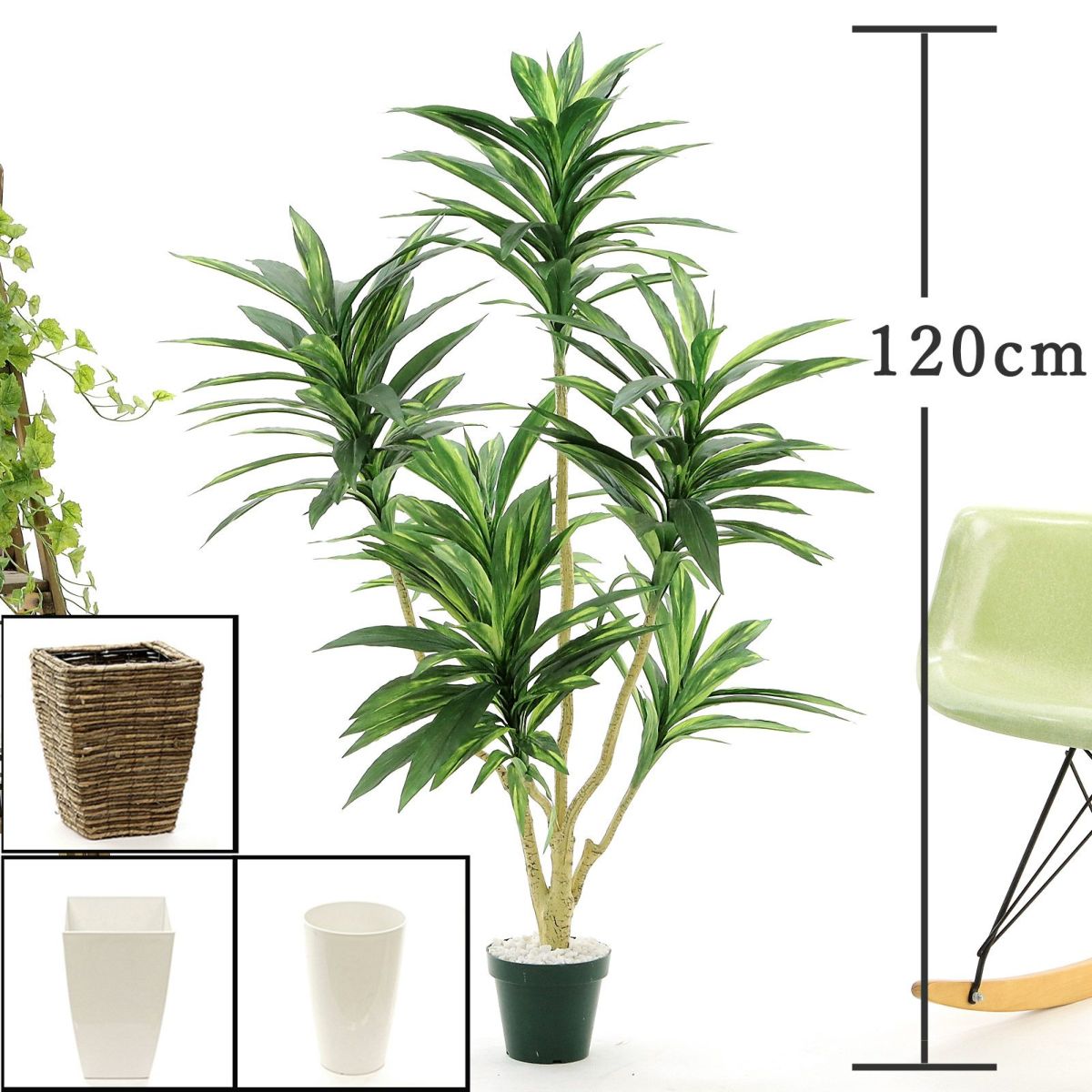 プラ鉢（+0円）