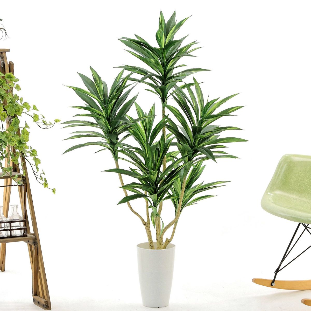 白丸ポット CHIC7丸（+500円）