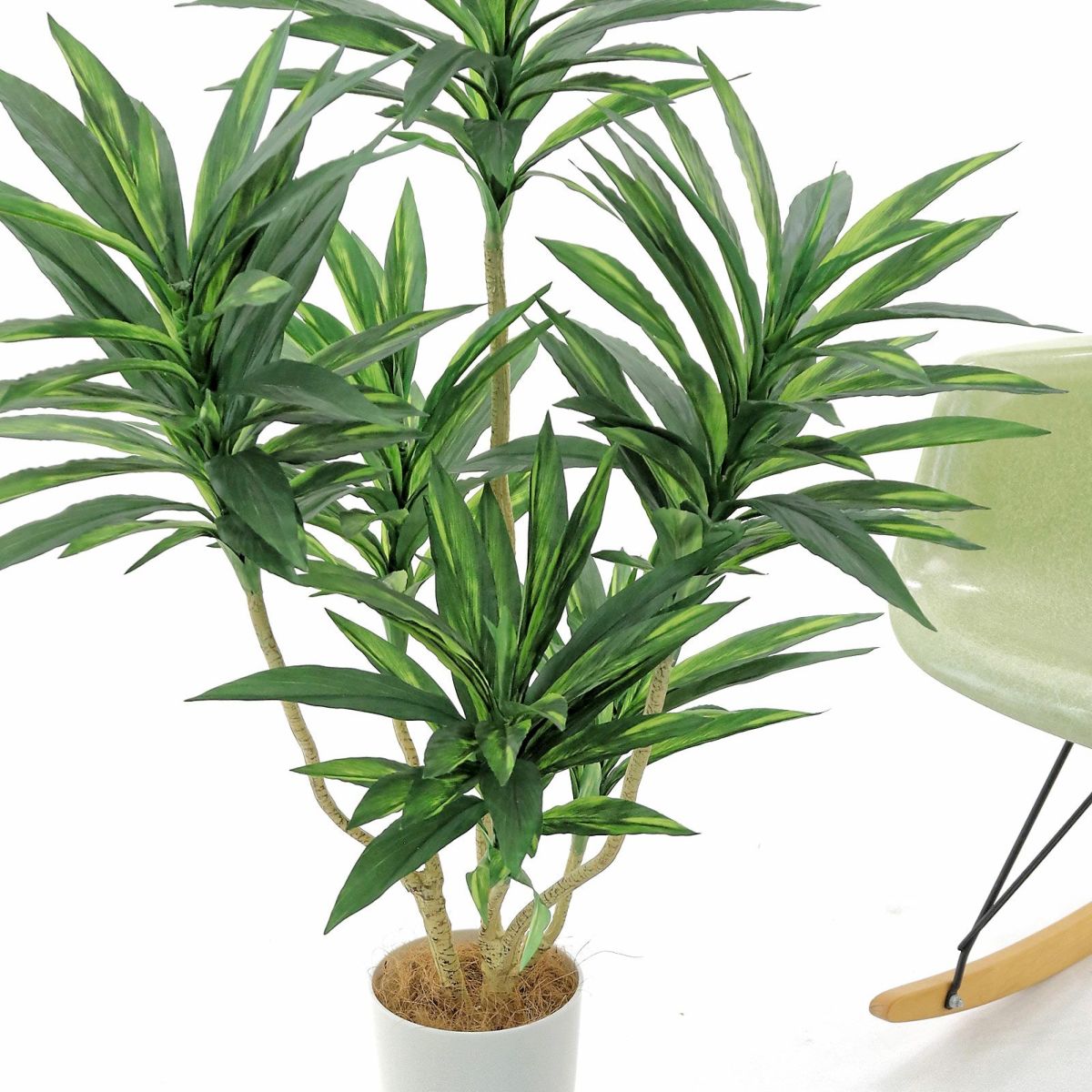 葉は広げて調整するのですが、放っておいても徐々に開いてきます