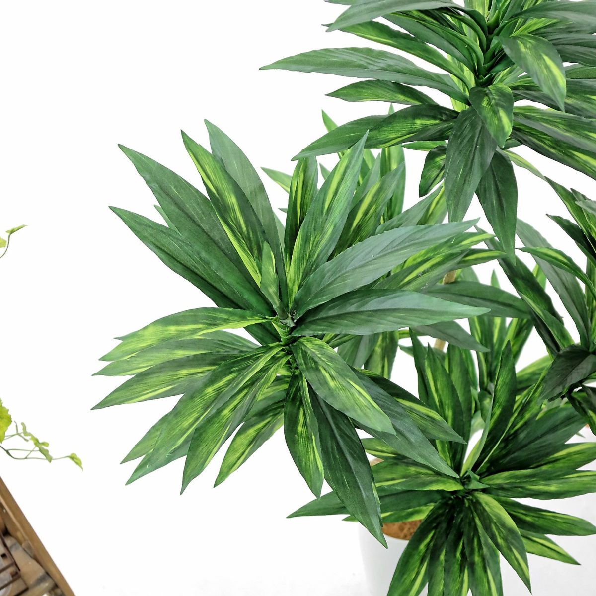 中にはプリント擦れのようなものもありますが