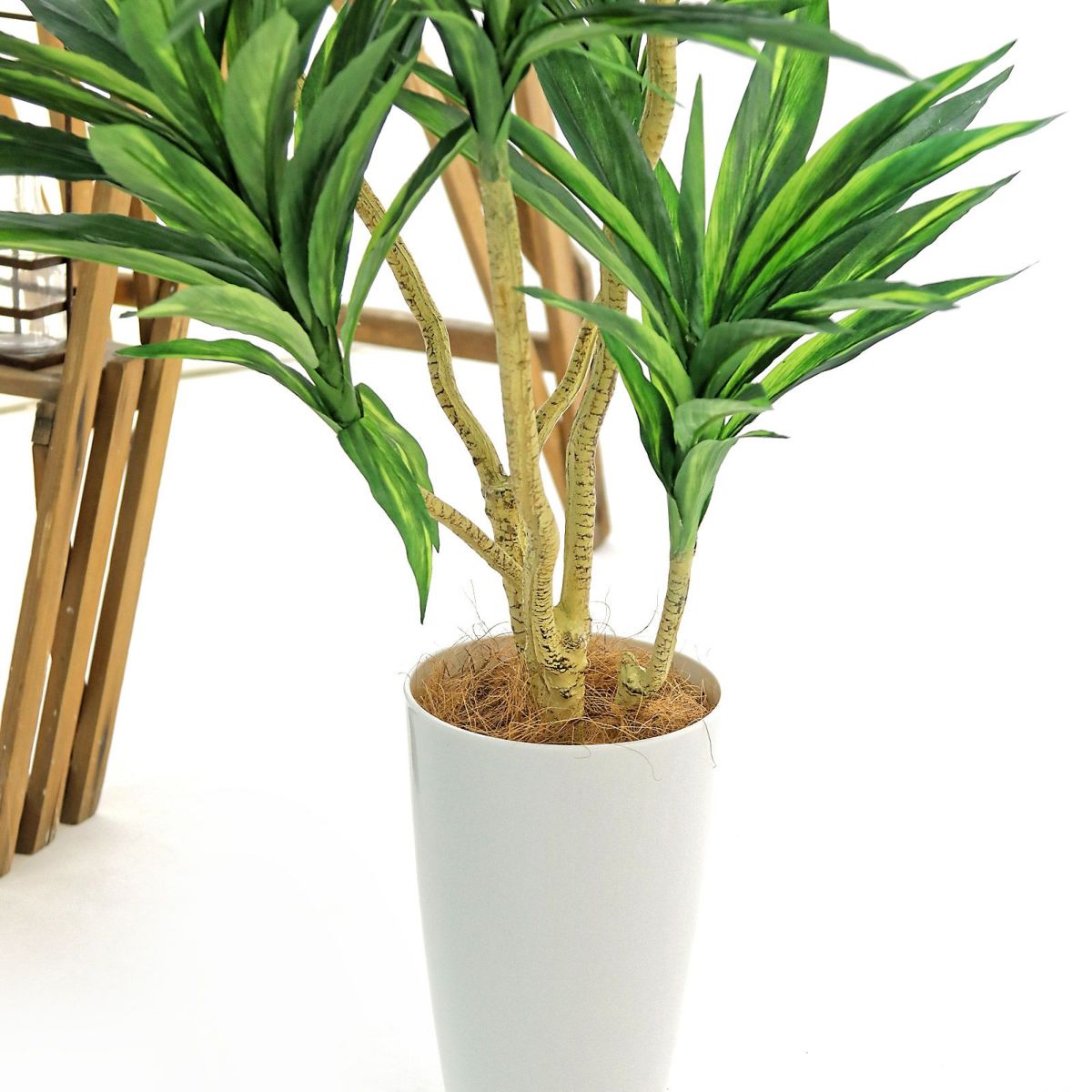 幹から枝分かれした枝は曲げられます。