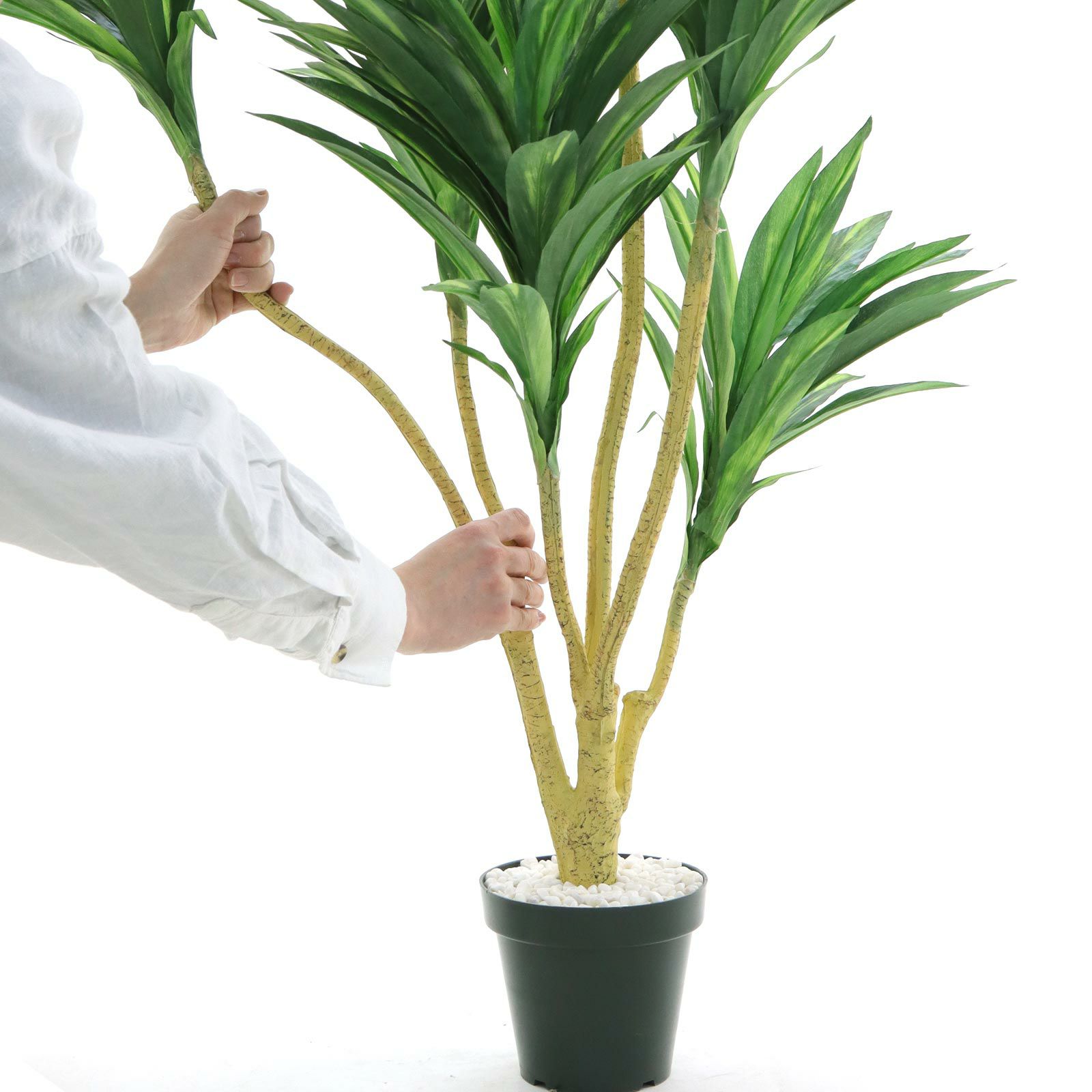 光触媒　人工観葉植物　ウォールグリーン　フェイクグリーン　ドラセナゴルジリネ15 光触媒 人工観葉植物 フェイクグリーン ドラセナ 高さ 1.8m