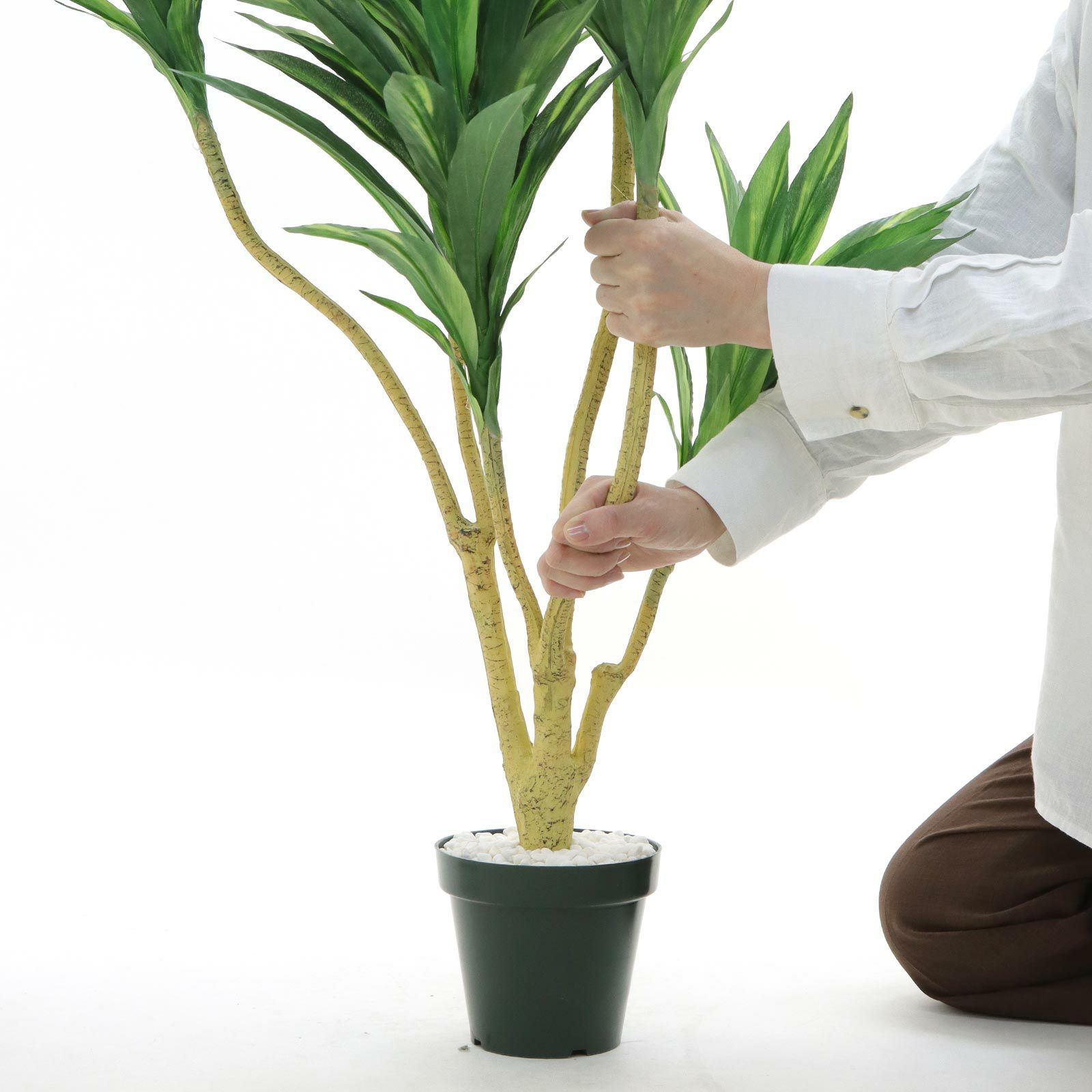 000000000117-21.jpg?t=