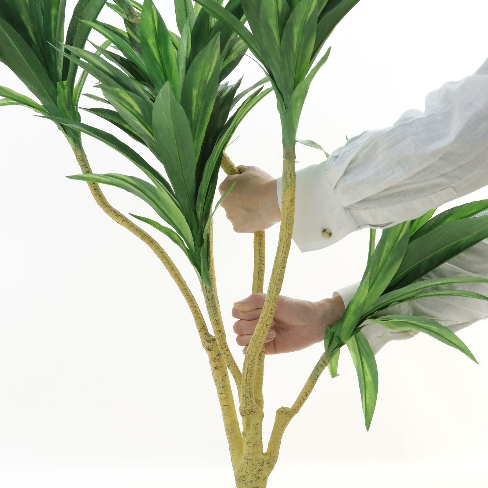 No8425 プレミアム光触媒フェイクグリーン 「シャープな葉姿 × 洗練