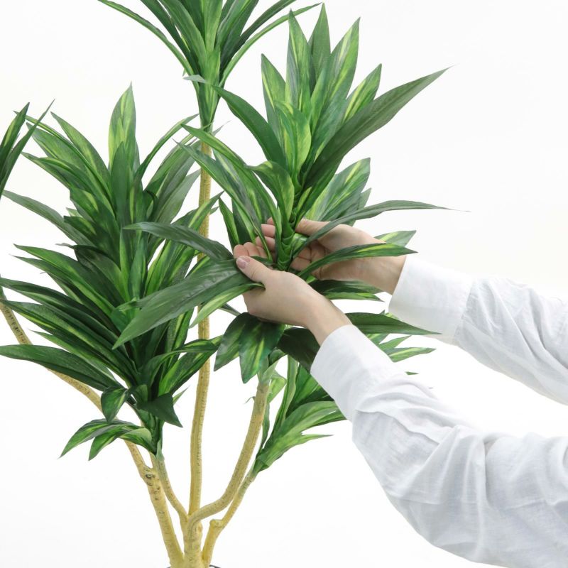 光触媒　人工観葉植物　ウォールグリーン　フェイクグリーン　ドラセナゴルジリネ15 光触媒人工観葉植物ウォールグリーンフェイクグリーンドラセナゴルジリネ15