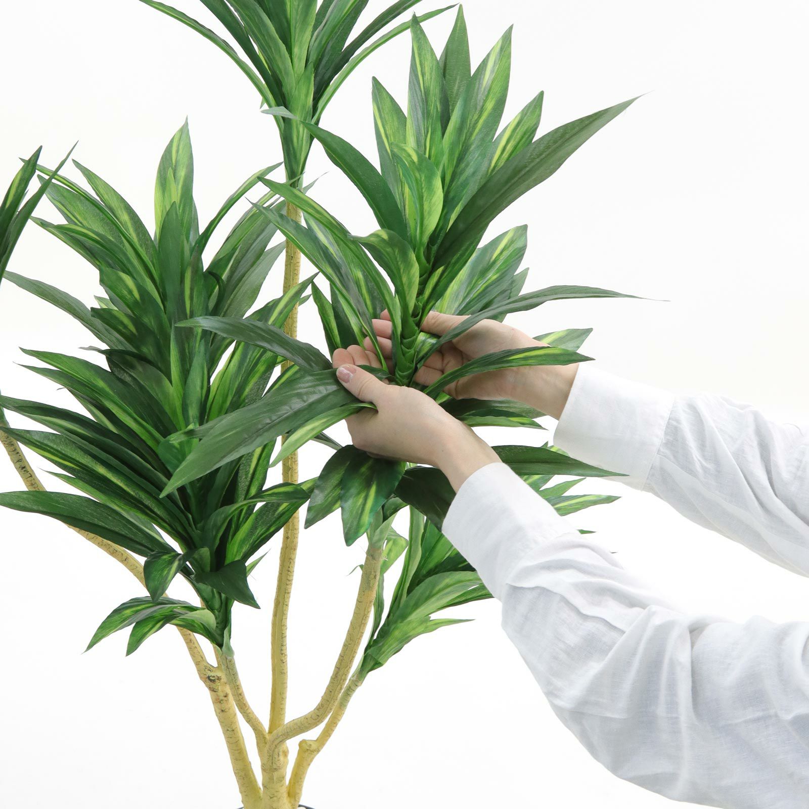 光触媒　人工観葉植物　ウォールグリーン　フェイクグリーン　ドラセナゴルジリネ15 光触媒 人工観葉植物 フェイクグリーン ドラセナ 高さ 1.8m | 太郎's STORE