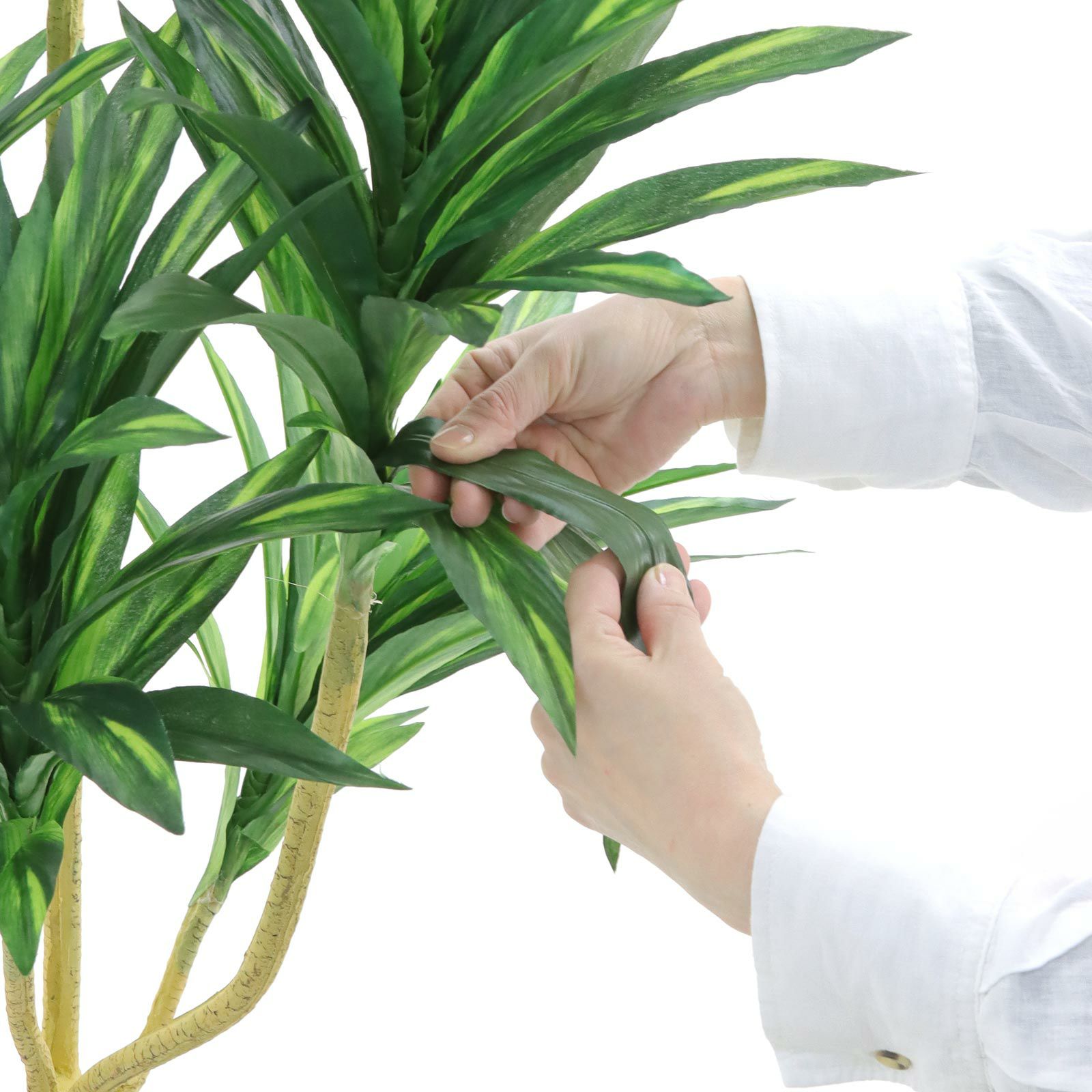 光触媒　人工観葉植物　ウォールグリーン　フェイクグリーン　ドラセナゴルジリネ15 光触媒 人工観葉植物 ウォールグリーン フェイクグリーン