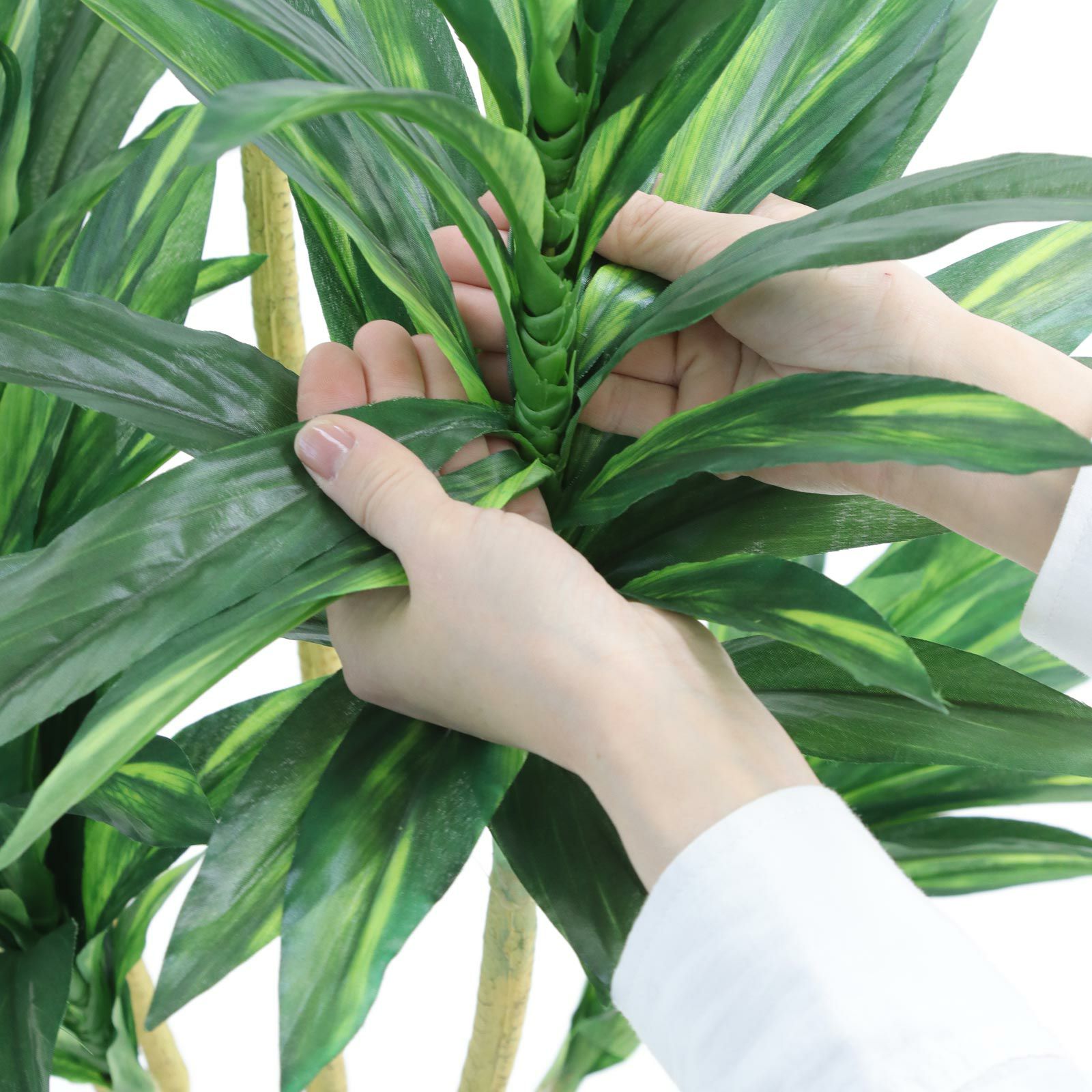 No.8425 プレミアム光触媒フェイクグリーン 「シャープな葉姿 × 洗練