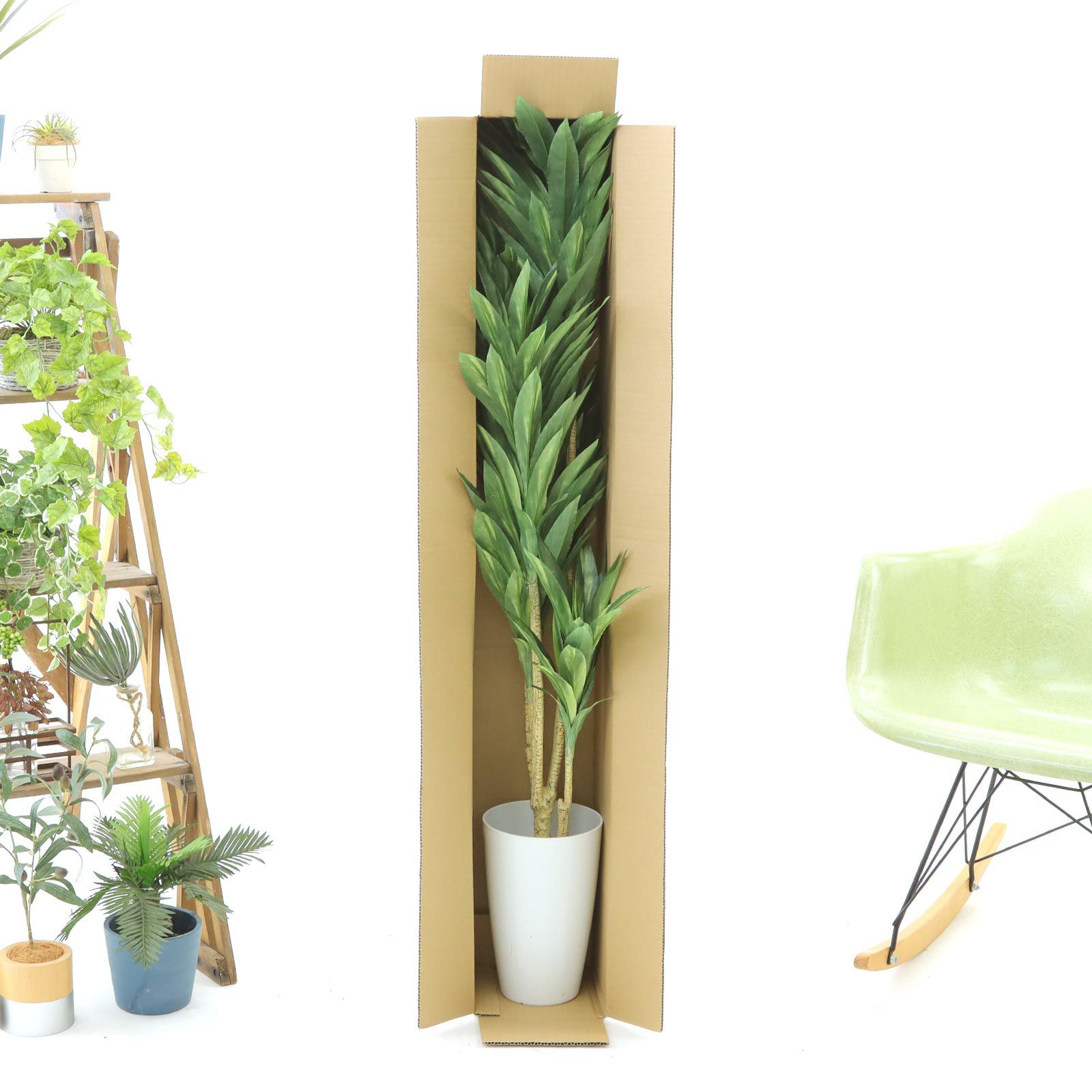 No.8425 プレミアム光触媒フェイクグリーン 「シャープな葉姿 × 洗練