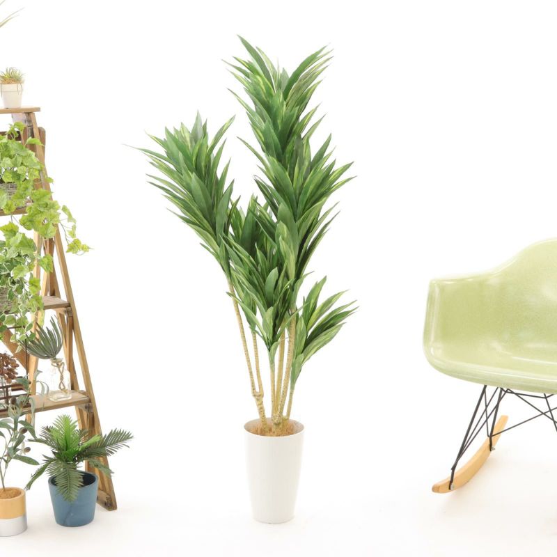 No8425 プレミアム光触媒フェイクグリーン 「シャープな葉姿 × 洗練