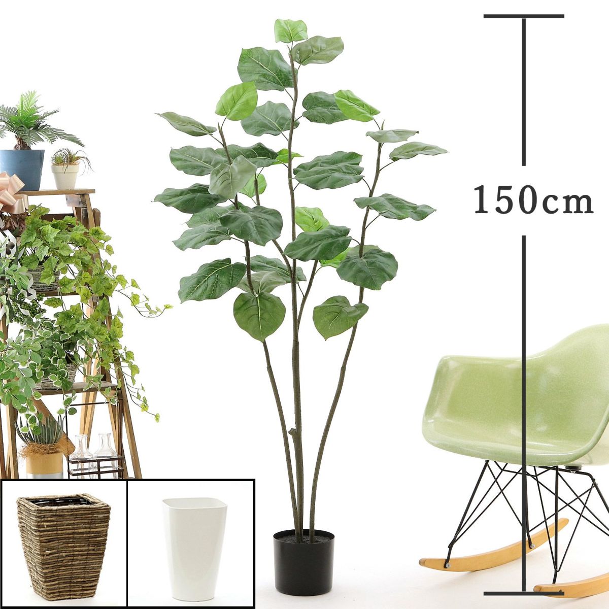 プラ鉢（+0円）