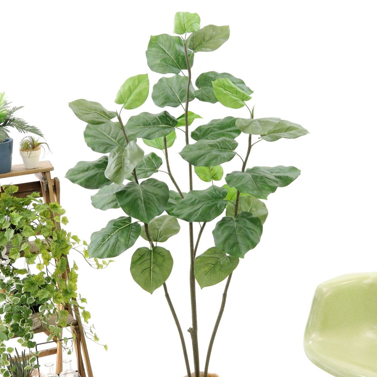 葉が見えやすいように表向きに調整