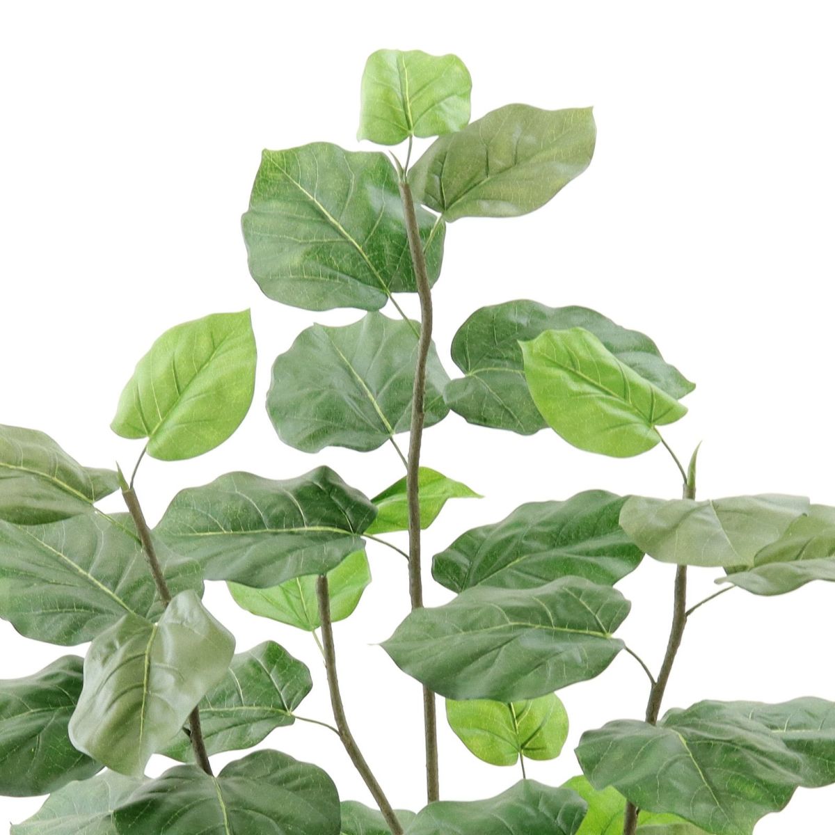 葉脈のプリントがキレイです