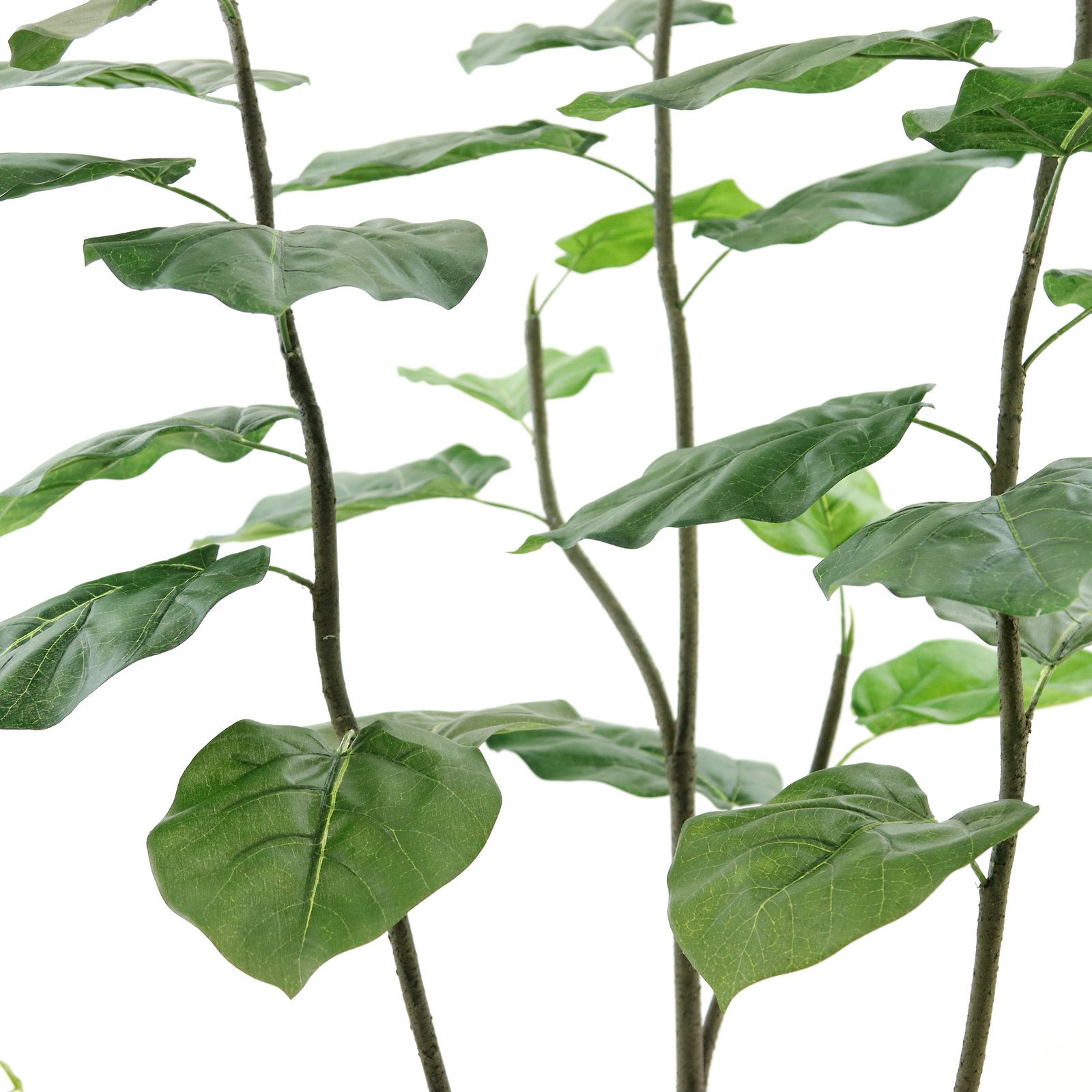 プレミアム光触媒 フェイクグリーン ウンベラータ 150〜155cm 20240604180510_1.jpg