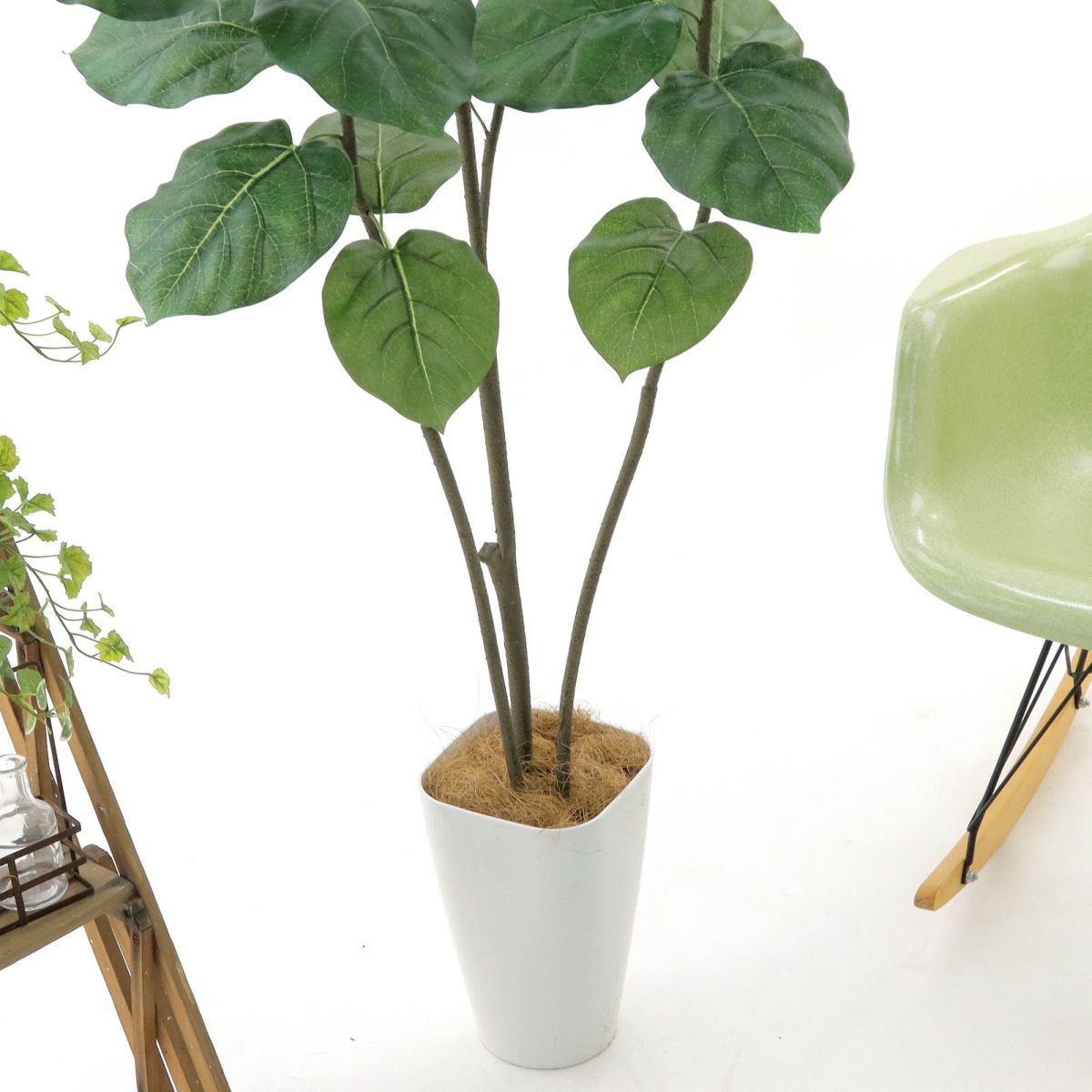 3本の幹は、写真のように曲げることができます。