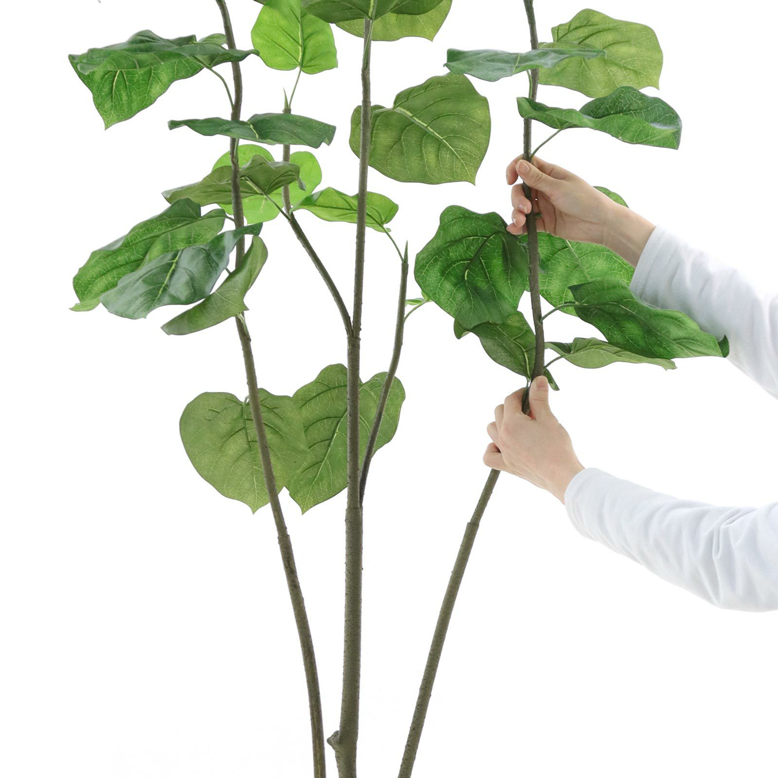 光触媒　人工観葉植物　フェイクグリーン　フィカスブランチツリー1.7 No9371 プレミアム光触媒フェイクグリーン 「ふんわり広がる葉
