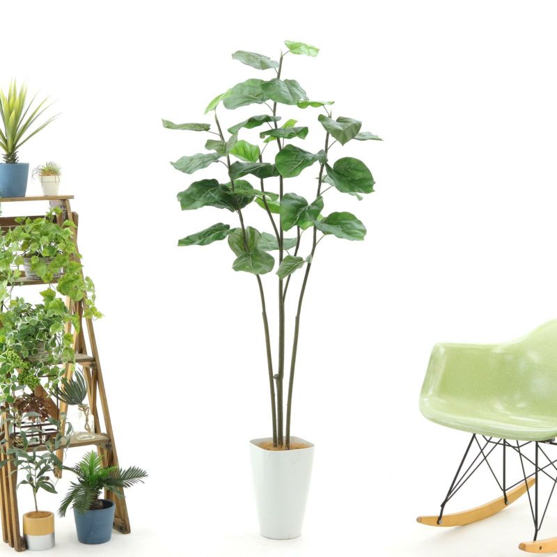 No9371 プレミアム光触媒フェイクグリーン 「ふんわり広がる葉 × 自然