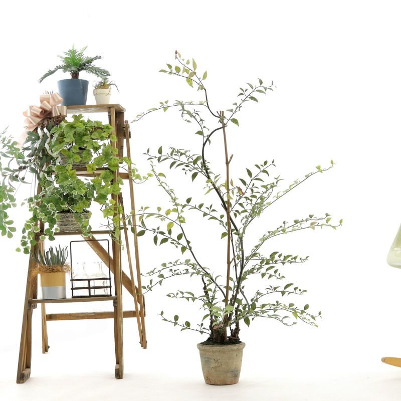 No9374 プレミアム光触媒フェイクグリーン 「個性的つる性植物