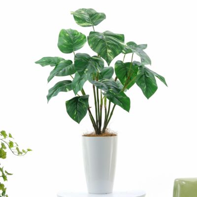 No93721 プレミアム光触媒フェイクグリーン 「ポトス 葉19枚 高さ80cm 幅60cm 奥行55cm」