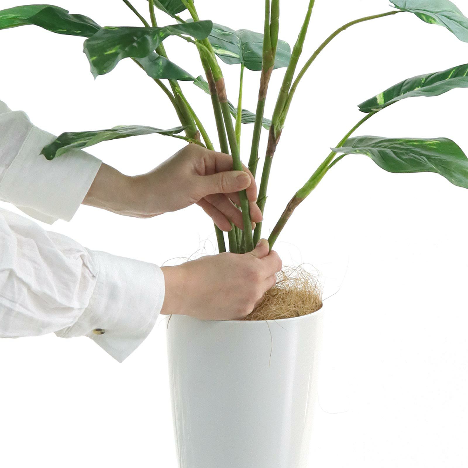 No93721 プレミアム光触媒フェイクグリーン 「自然に垂れる枝ぶり