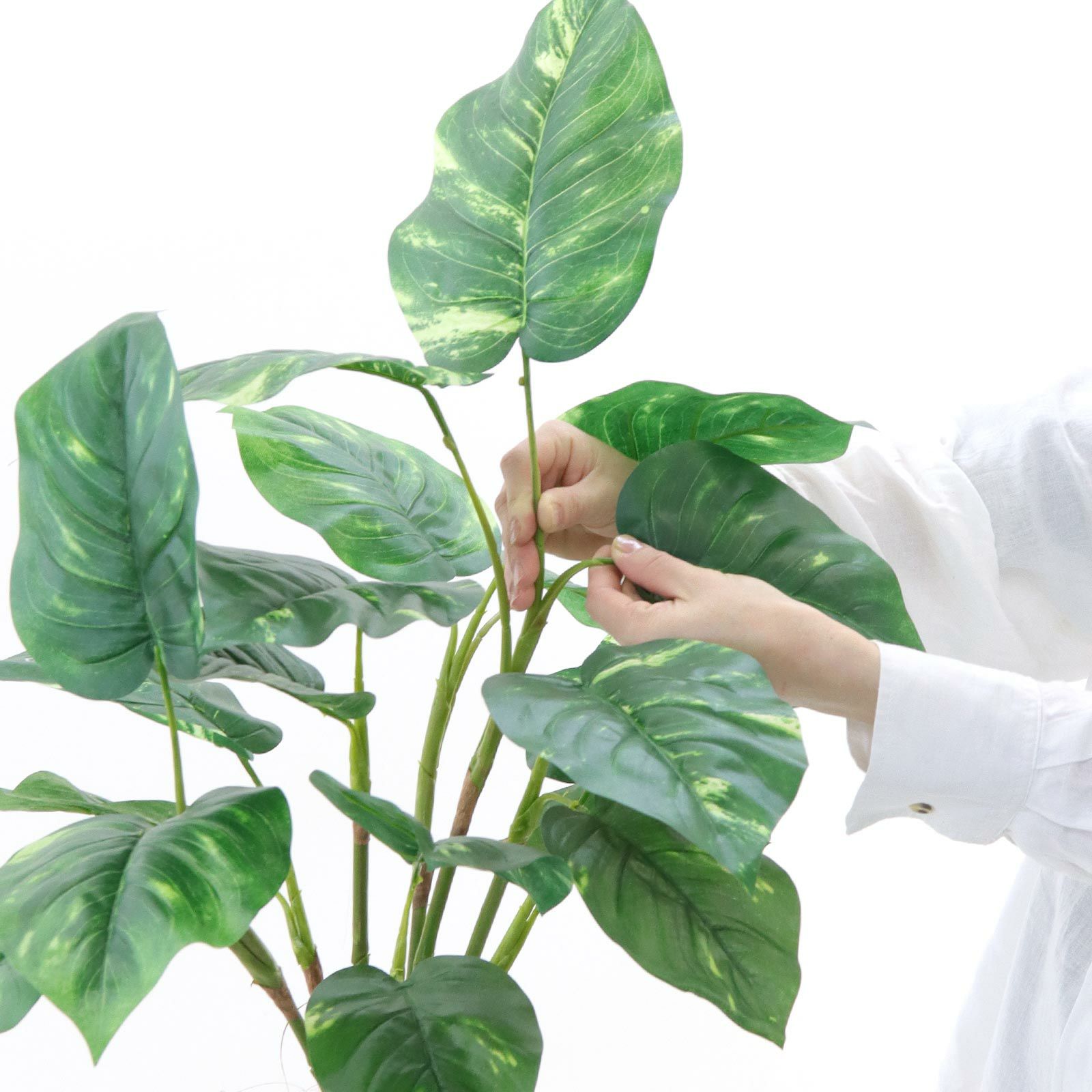 No93721 プレミアム光触媒フェイクグリーン 「自然に垂れる枝ぶり