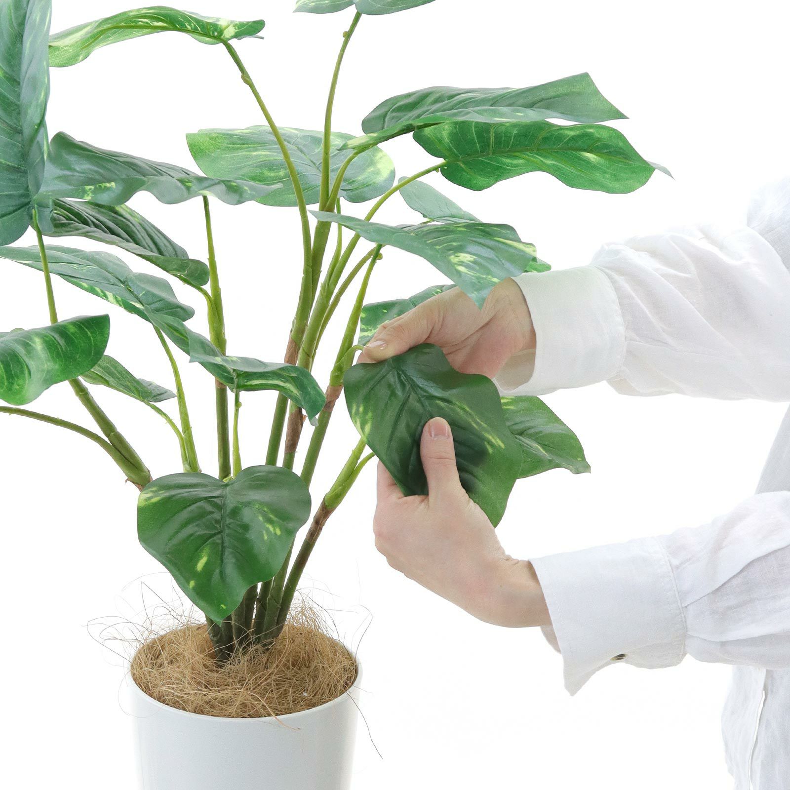 No93721 プレミアム光触媒フェイクグリーン 「自然に垂れる枝ぶり