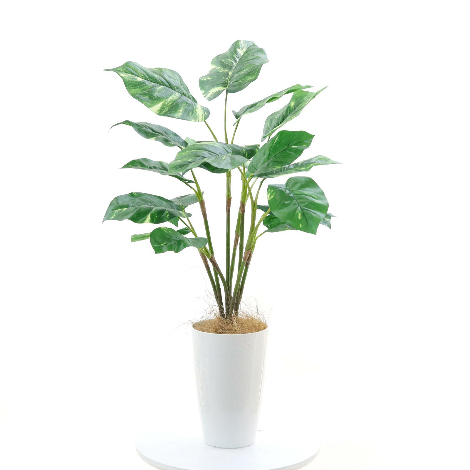 No93721 プレミアム光触媒フェイクグリーン 「自然に垂れる枝ぶり