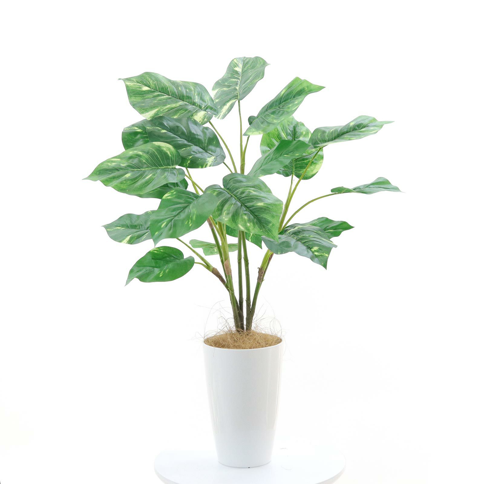 000000000163-29.jpg?t=