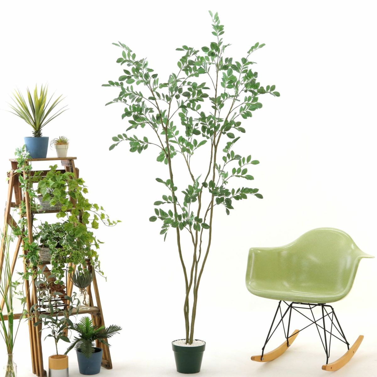 プラ鉢（+0円）