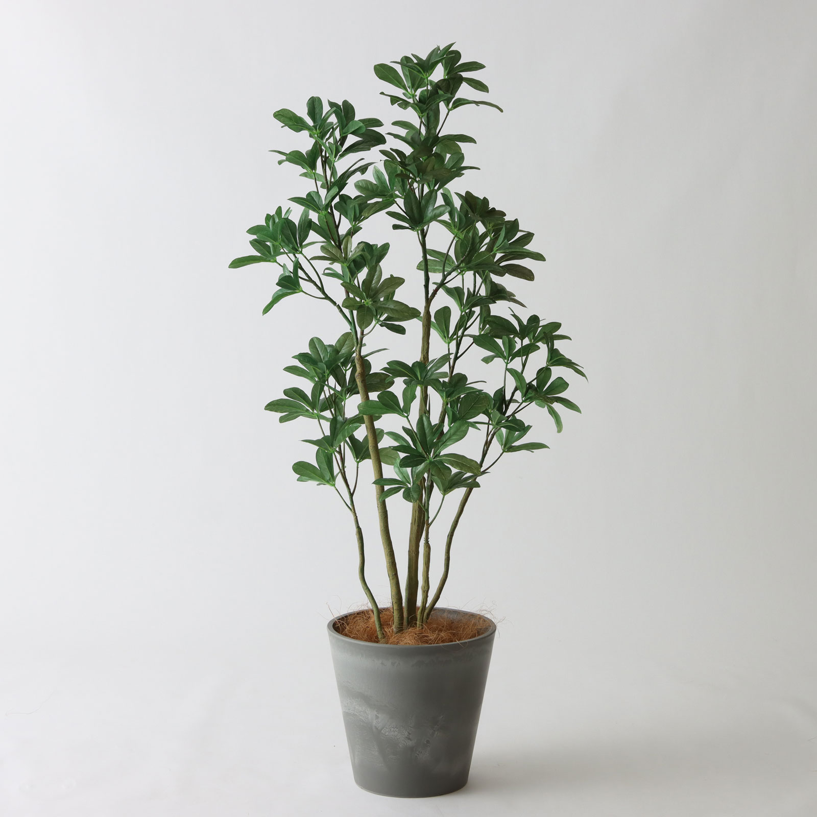 バナナリーフバスケット小 KG4SRE＋ヤシの繊維（+3500円）