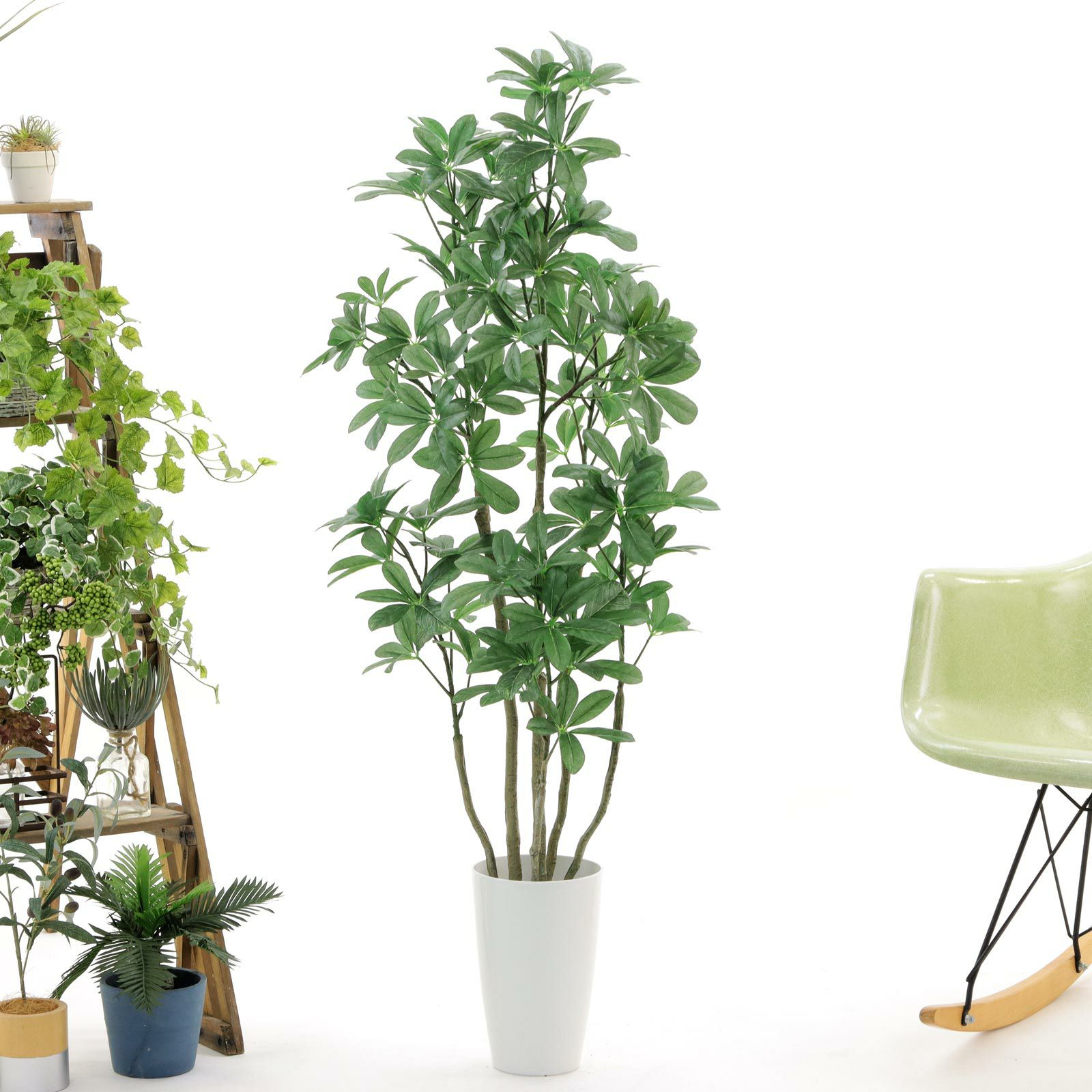 光触媒　人工観葉植物　ウォールグリーン　フェイク　アレンジ　シェフレアデコルテ 光触媒 人工観葉植物 ウォールグリーン フェイクグリーン 壁掛け