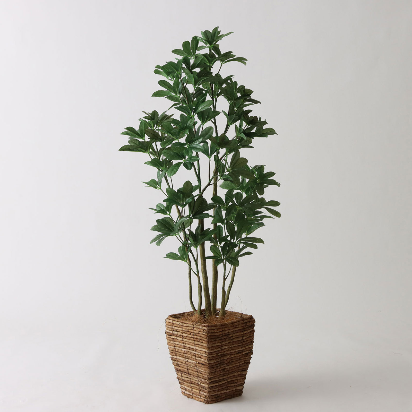 バナナリーフバスケット小 KG4SRE（+3000円）