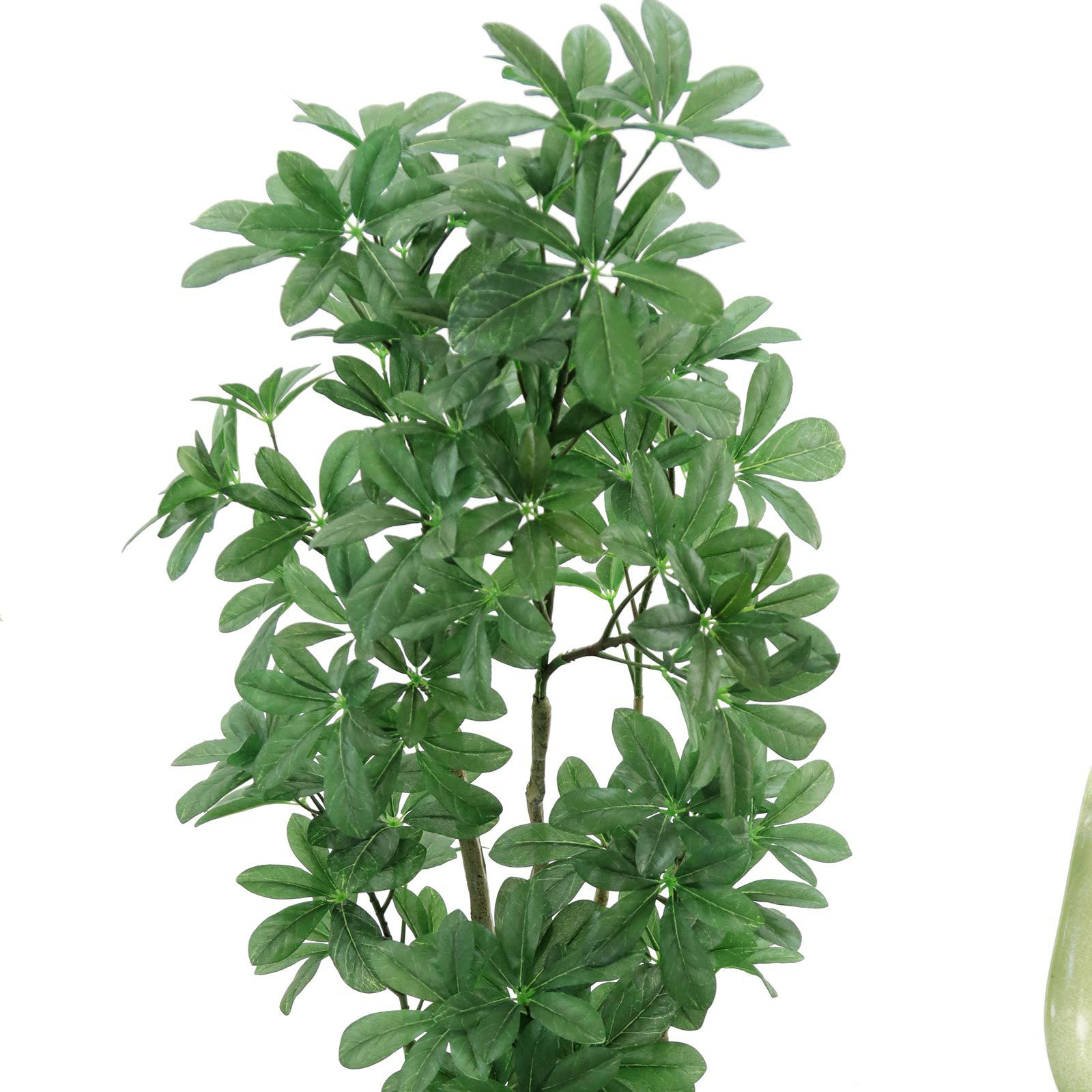 000000000166-12.jpg?t=