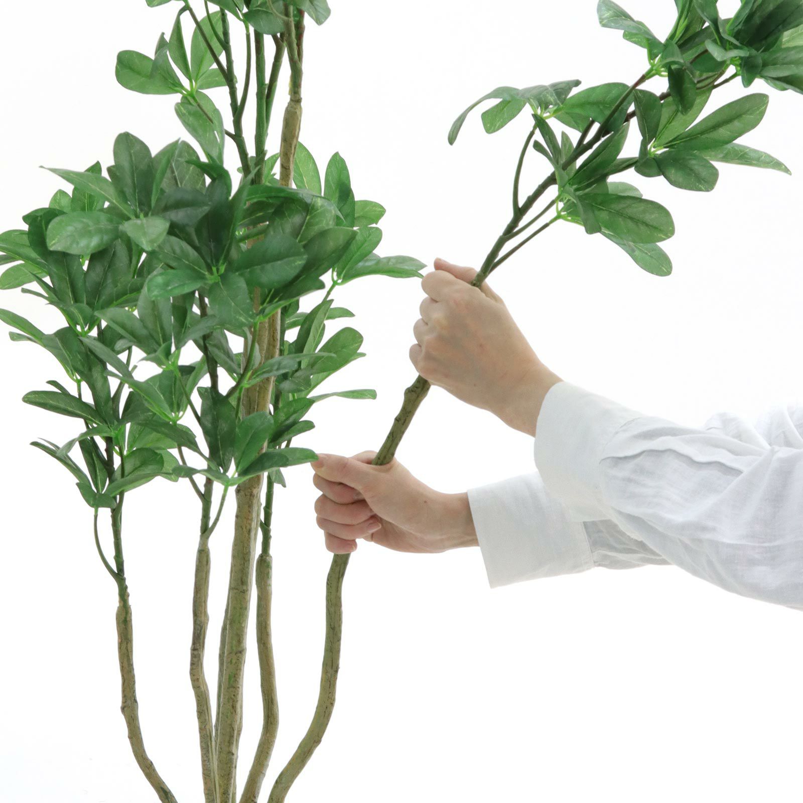 000000000166-22.jpg?t=