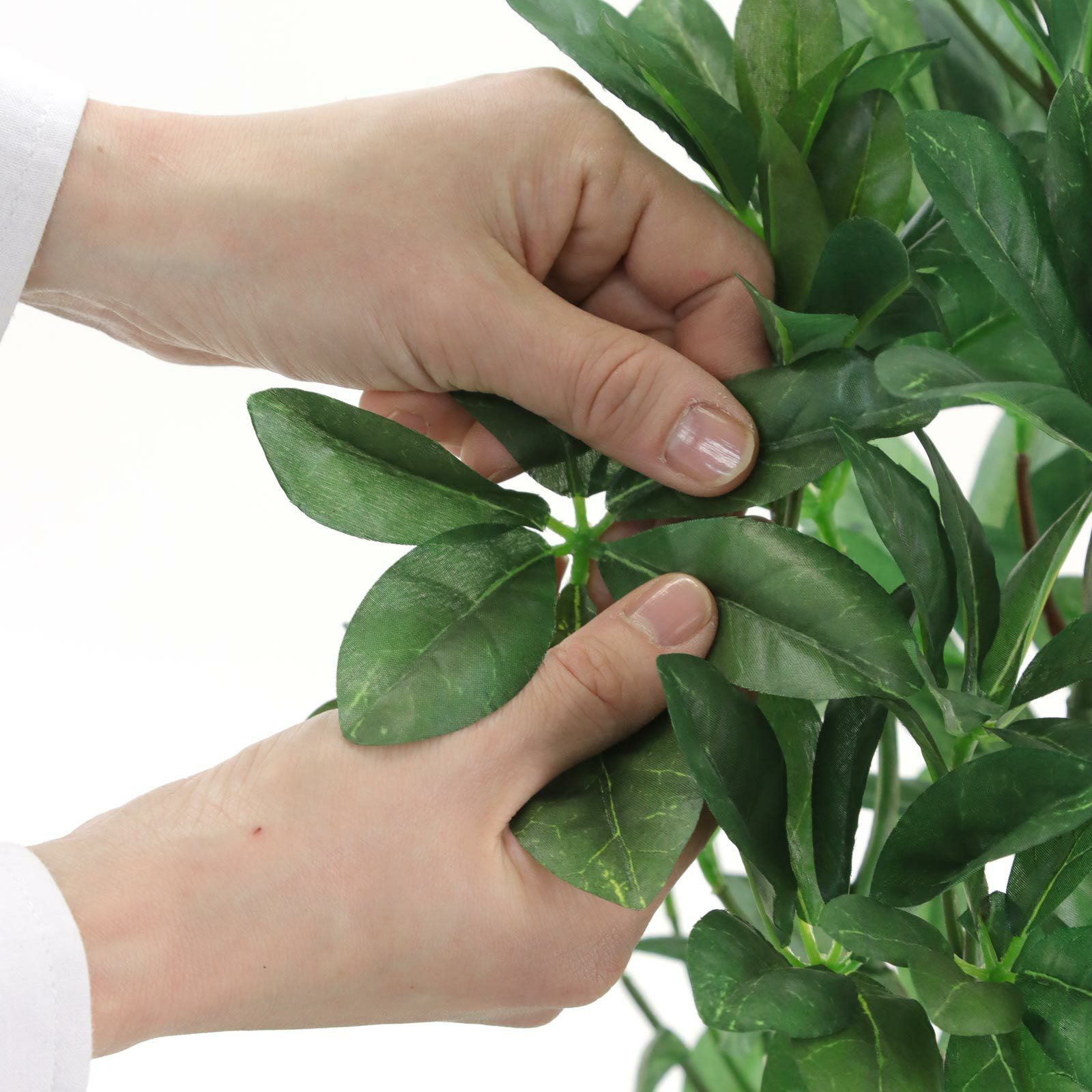 000000000166-24.jpg?t=