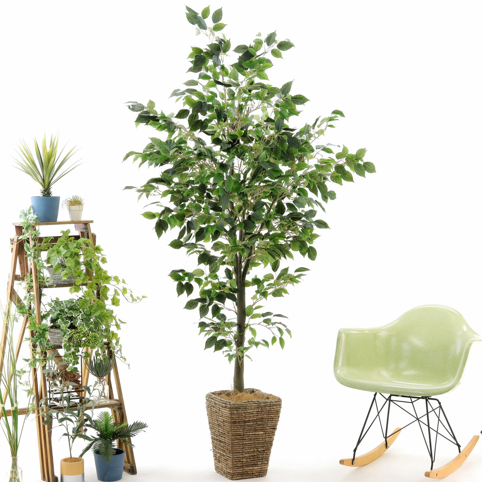 光触媒　人工観葉植物　フェイクグリーン　イタリアンベンジャミン17365 光触媒 人工観葉植物 フェイクグリーン イタリアンベンジャミン