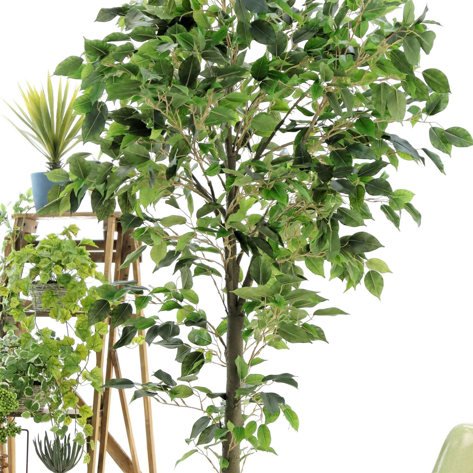 No9311 プレミアム光触媒フェイクグリーン 「ふんわりと広がる枝ぶり