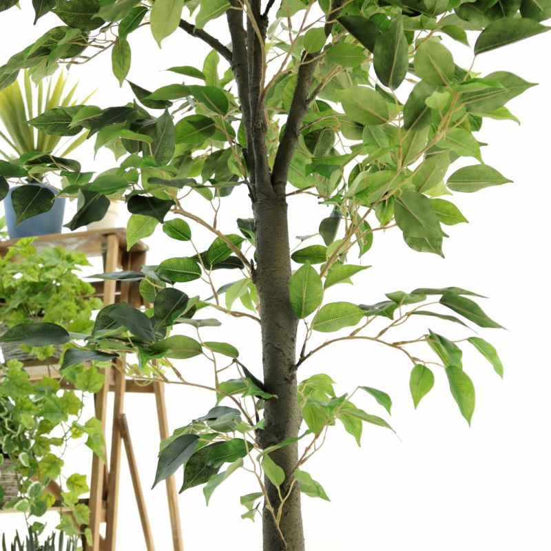 No9311 プレミアム光触媒フェイクグリーン 「ふんわりと広がる枝ぶり