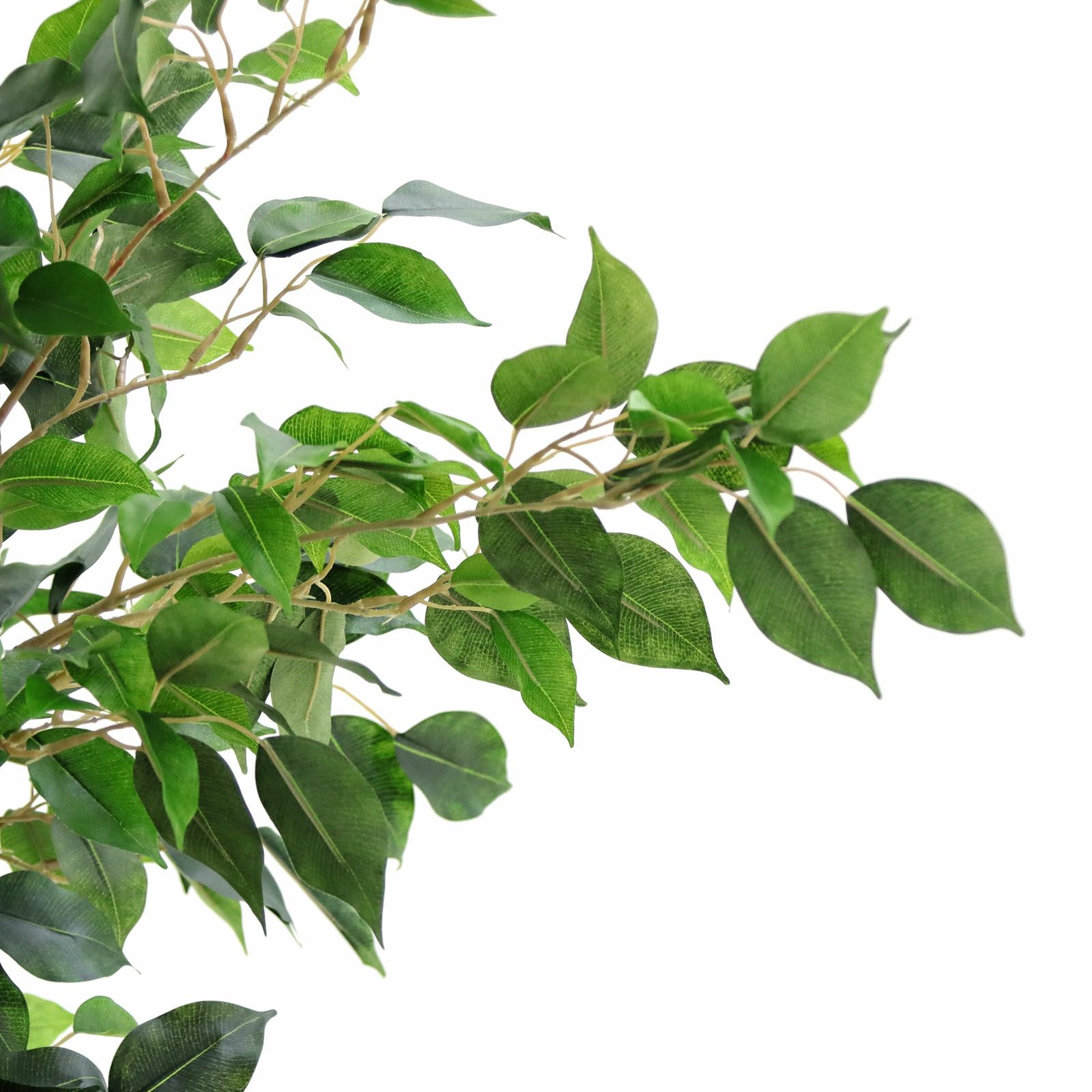 No9311 プレミアム光触媒フェイクグリーン 「ふんわりと広がる枝ぶり