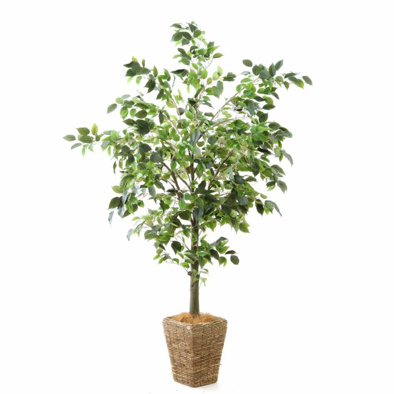 Amazon｜人工観葉植物 背の高い 120 140 160 180 200  センチメートル鉢植え人工装飾フロントドア/リビングルーム/プランター、緑黄色シミュレーション盆栽プラスチック竹、セメントベース付き (Color :  Green, Size : 4 POLE 