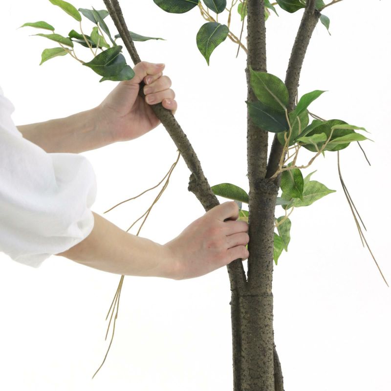 No9311 プレミアム光触媒フェイクグリーン 「ふんわりと広がる枝ぶり