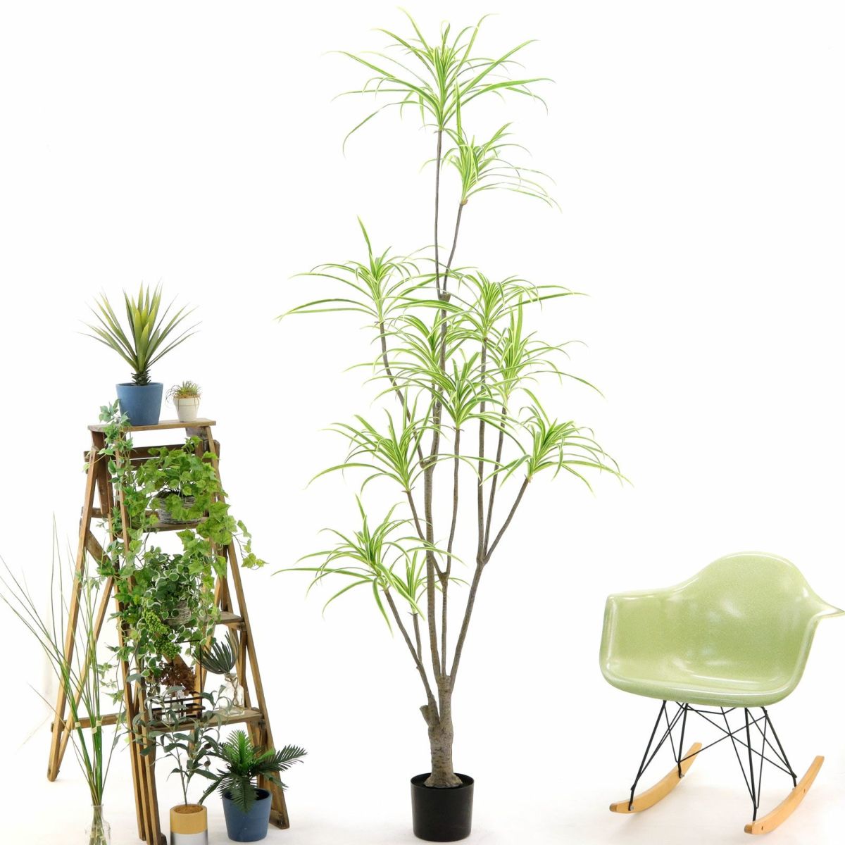 プラ鉢（+0円）