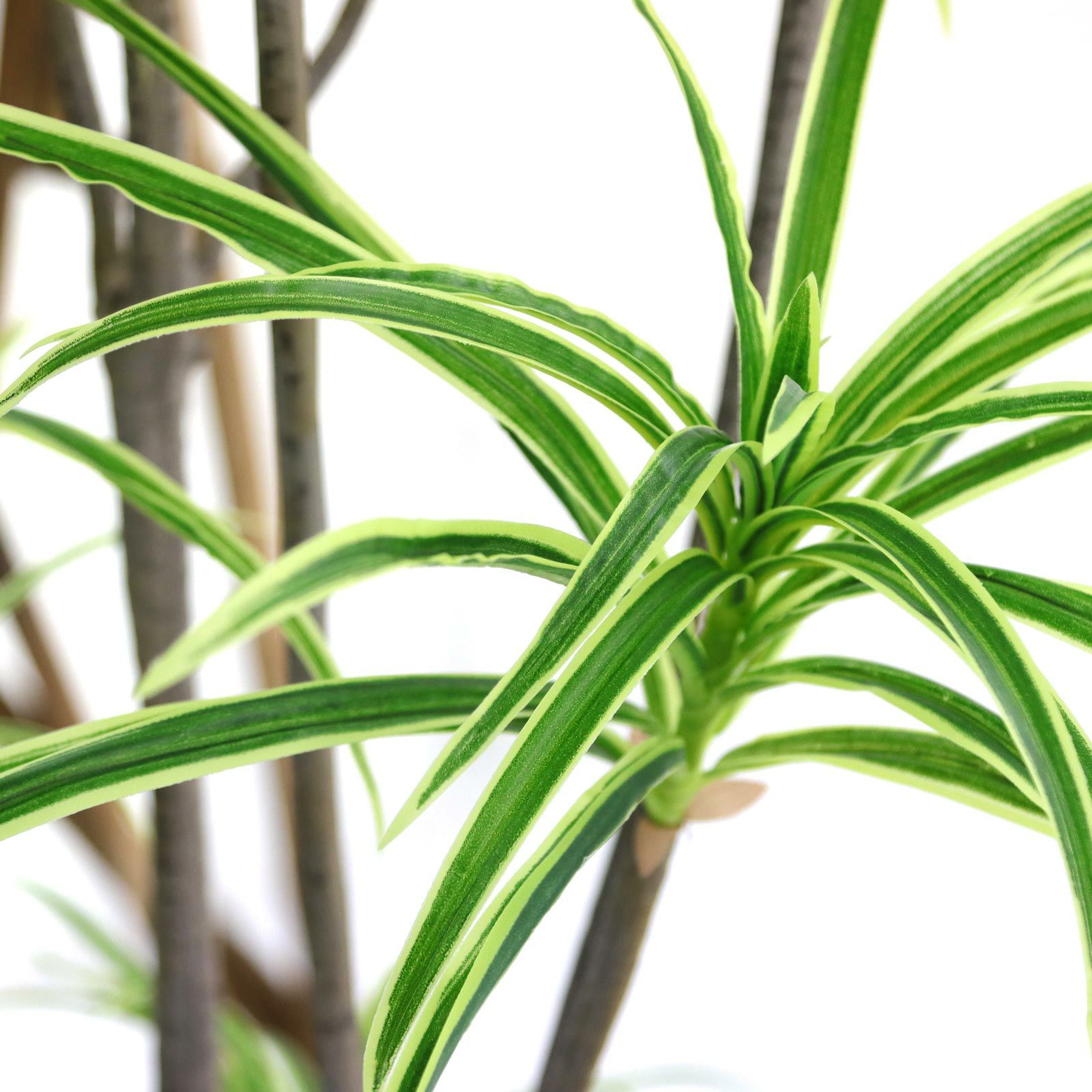 光触媒　人工観葉植物　ウォールグリーン　フェイクグリーン　ドラセナコンシンネ 人工観葉植物 ウォールグリーン フェイクグリーン ドラセナコンシンネ