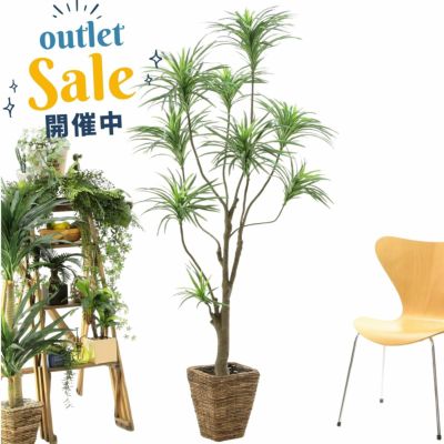 高さ180cm- | プレミアム光触媒フェイクグリーン 造花ドットコム zouka.com