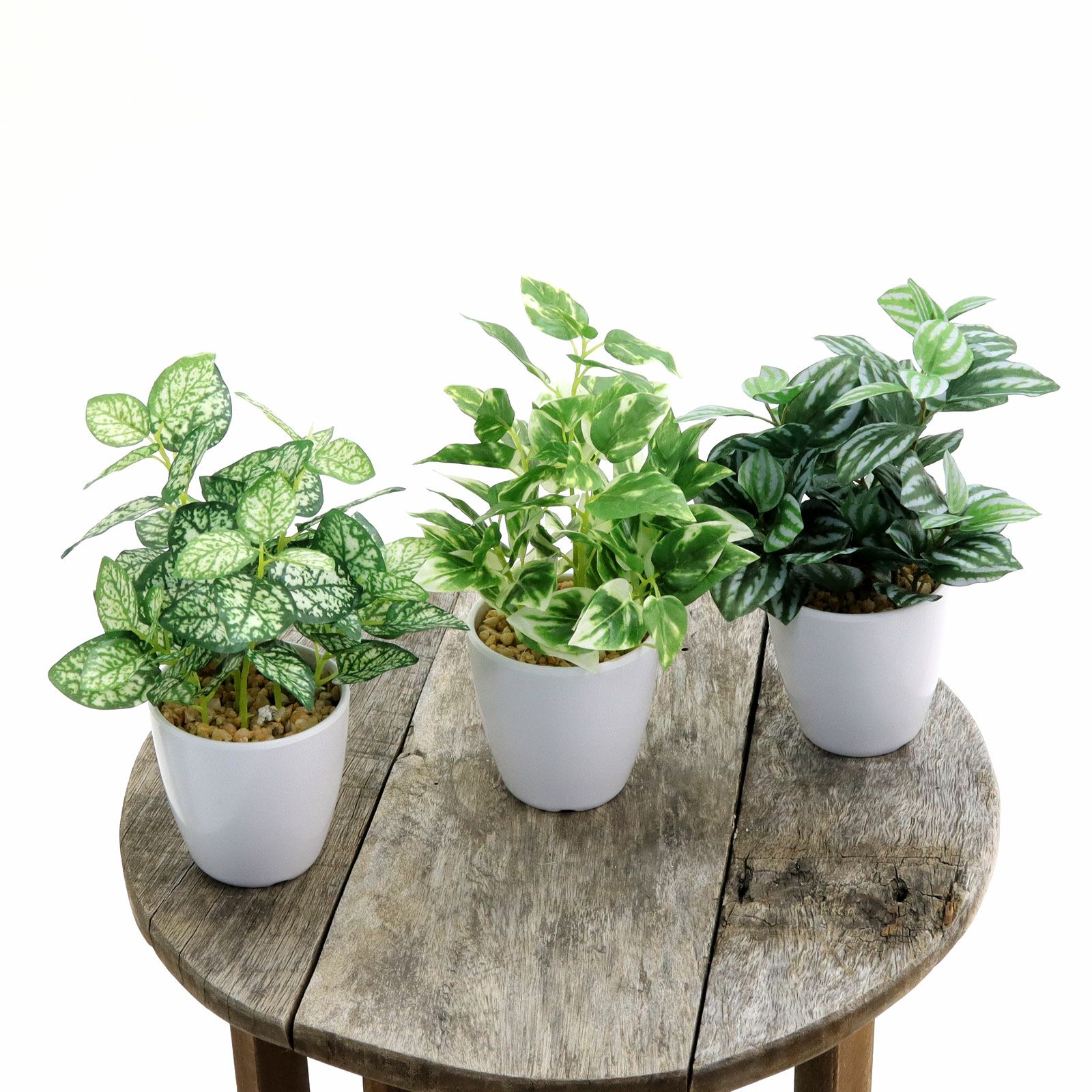 000000000177-02.jpg?t=