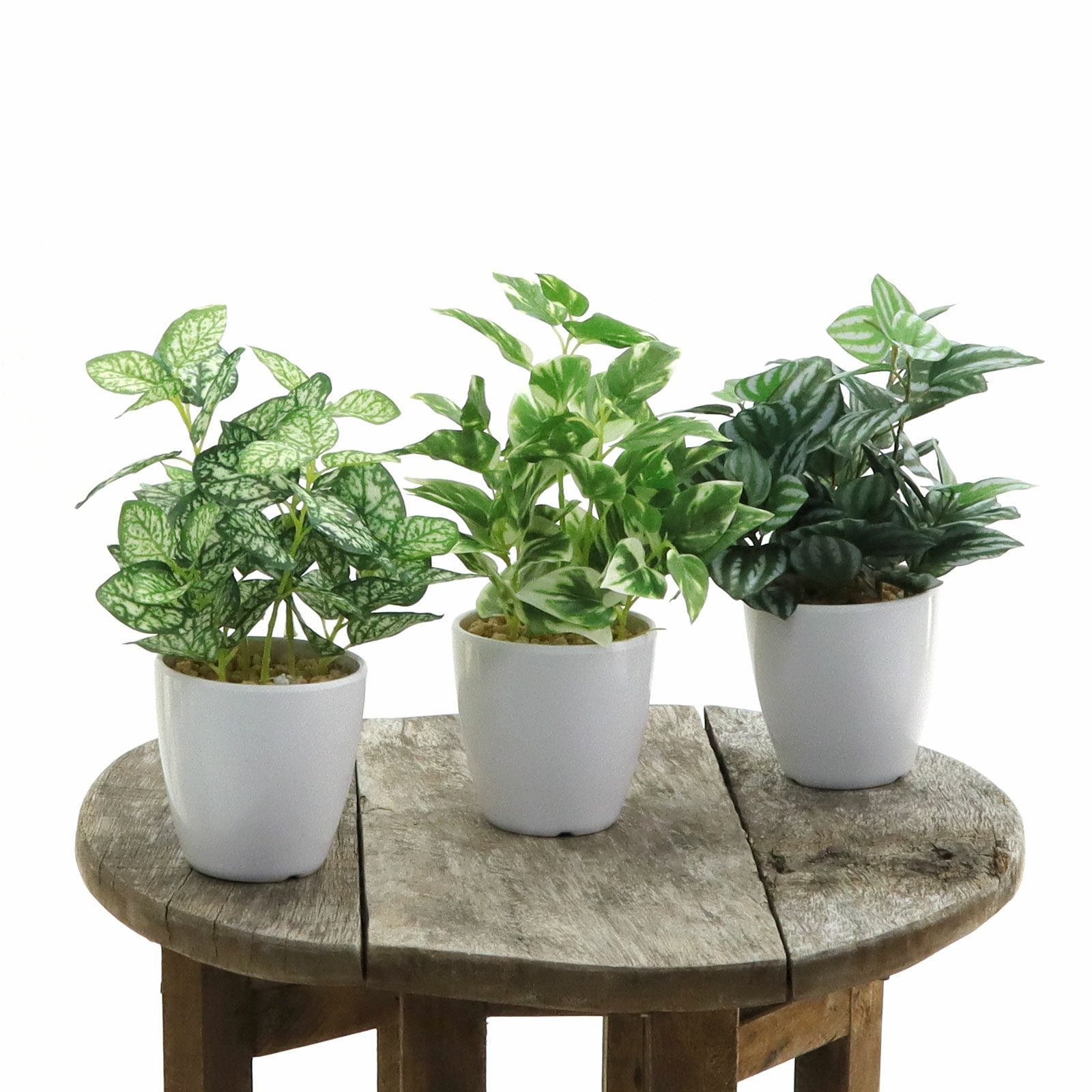 000000000177-03.jpg?t=