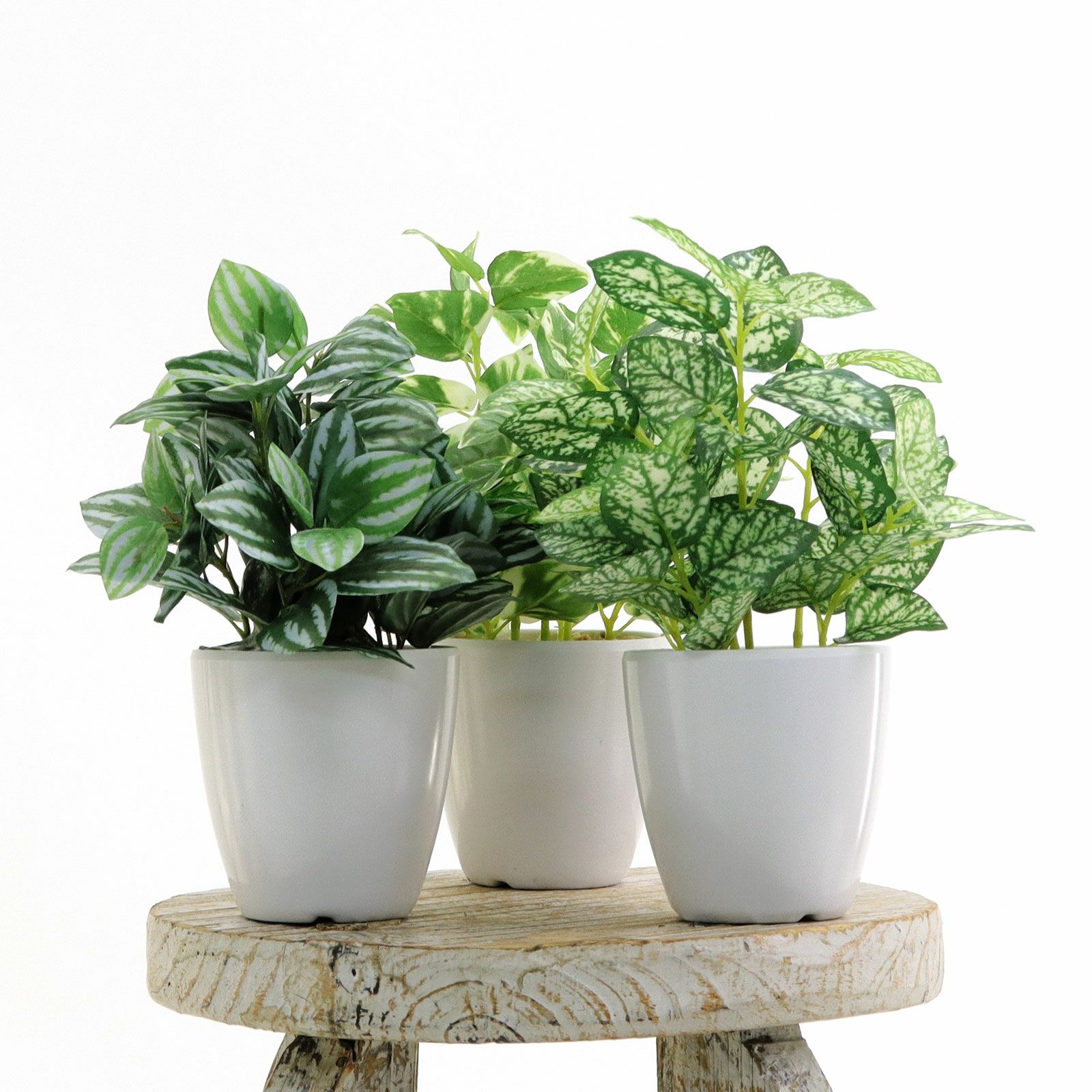 No8434 フェイクグリーン 「色もカタチも三者三様 × 並べるだけで